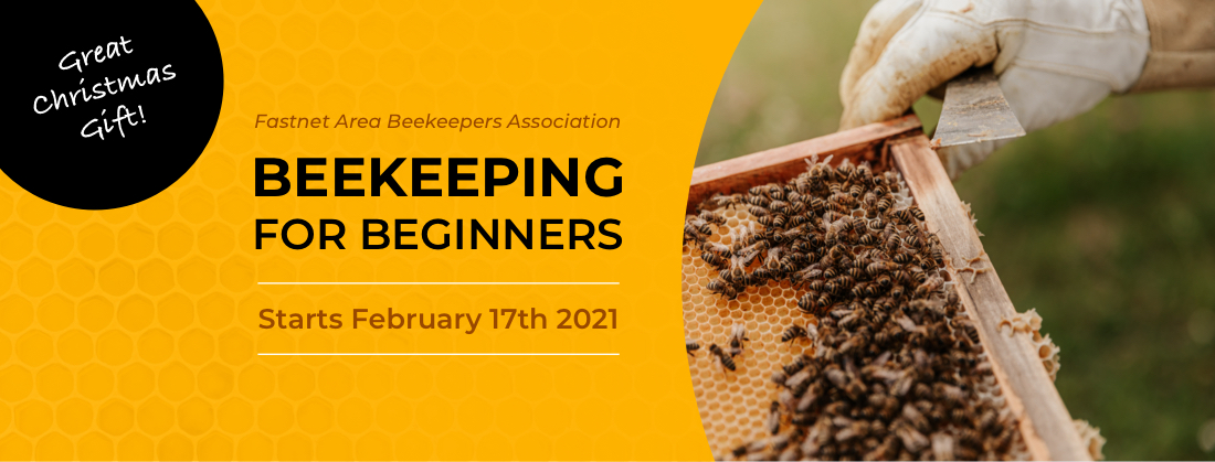 Beekeeping for Beginners - Online Course 2021