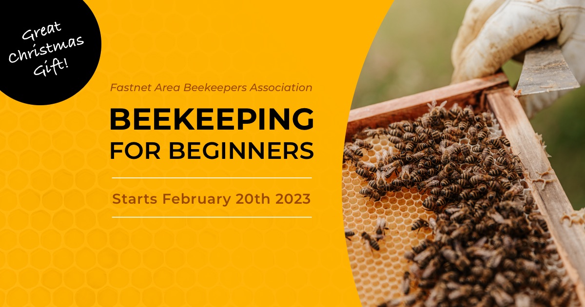 Beekeeping for Beginners Course 2023 Area Beekeepers Association