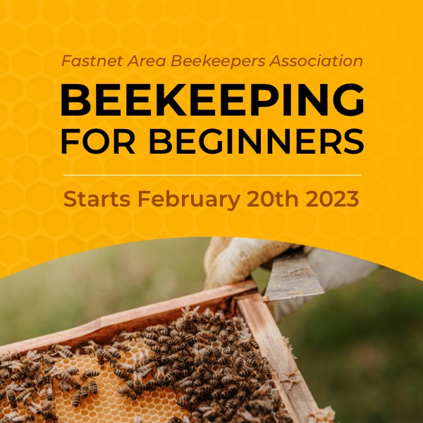 fabka-beginners-2023-square-600
